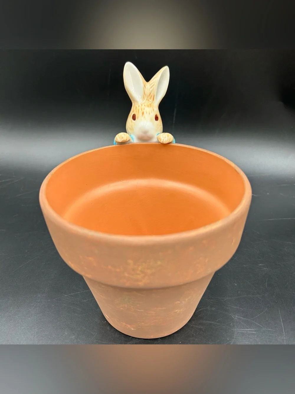 Beatrix Potter Peter Rabbit Teleflora Flower Pot Planter 2000 Ceramic Decor